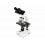 Microscopio LABS CB2000-CF