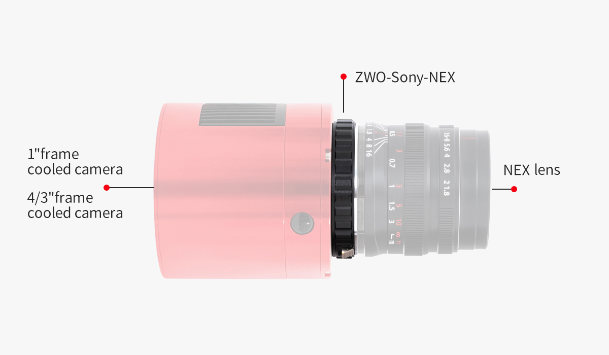  ZWO Adattatore Sony NEX per fotocamere ASI come ASI1600, ASI294, ASI183, ASI174, ASI432 e ASI585 