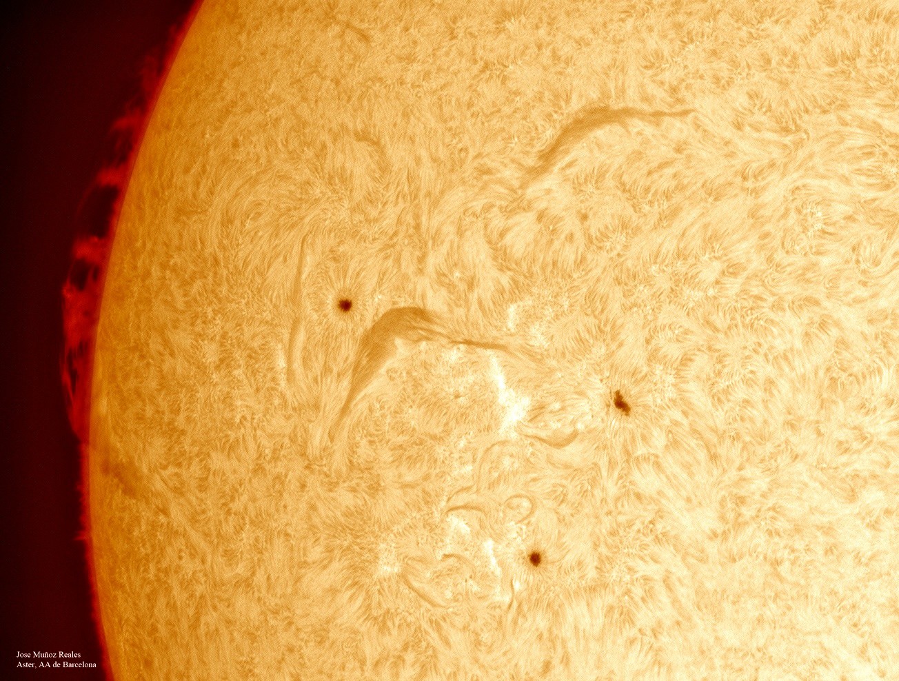   Trasforma un normale telescopio normale in un telescopio solare H-alfa con distanza focale fino a 540 mm che mostra protuberanze e tanto altro  