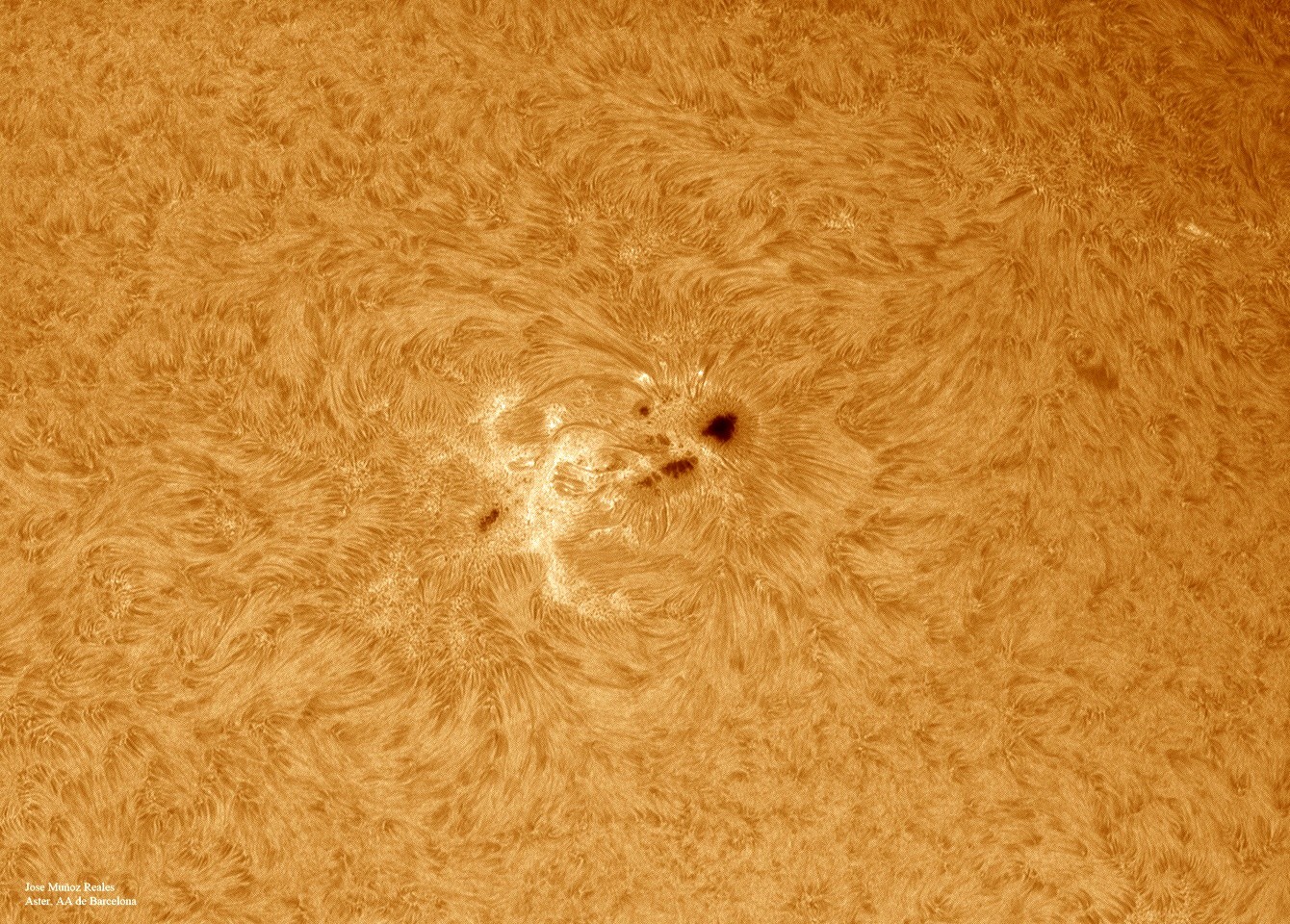   Trasforma un normale telescopio normale in un telescopio solare H-alfa con distanza focale fino a 540 mm che mostra protuberanze e tanto altro  