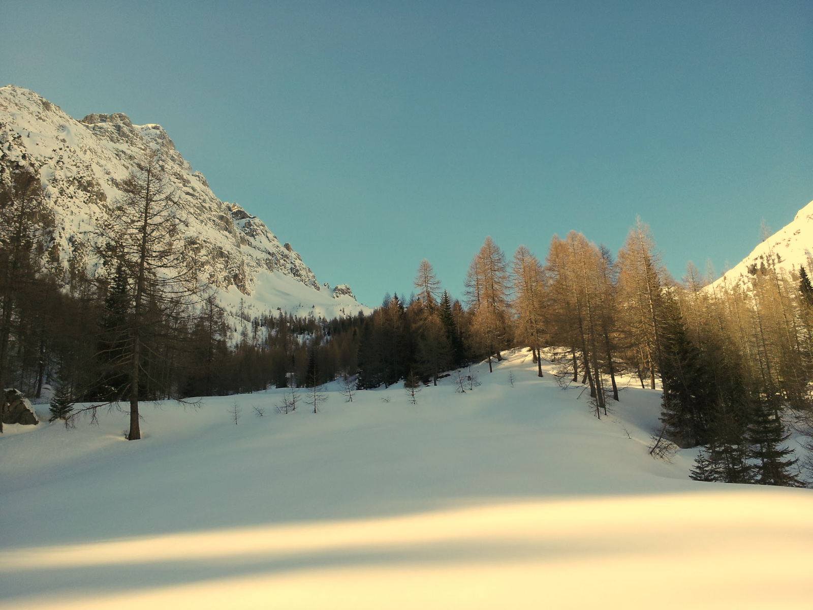 Pacchetto completo di astro-escursionismo con salita alla magica Val Visdende, apericena presso l'Agriturismo Malga Dignas, osservazioni astronomiche supportate da Dwarf 3 e Unistellar Odyssey Pro e passeggiata ambientale notturna.
Pacchetto completo di astro-escursionismo con salita alla magica Val Visdende, apericena presso l'Agriturismo Malga Dignas, osservazioni astronomiche supportate da Dwarf 3 e Unistellar Odyssey Pro e passeggiata ambientale notturna.