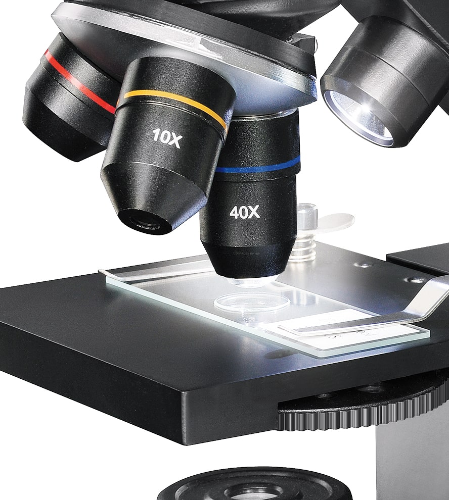   Microscopio per principianti di tutte le età, ideale per la scuola e per hobby  