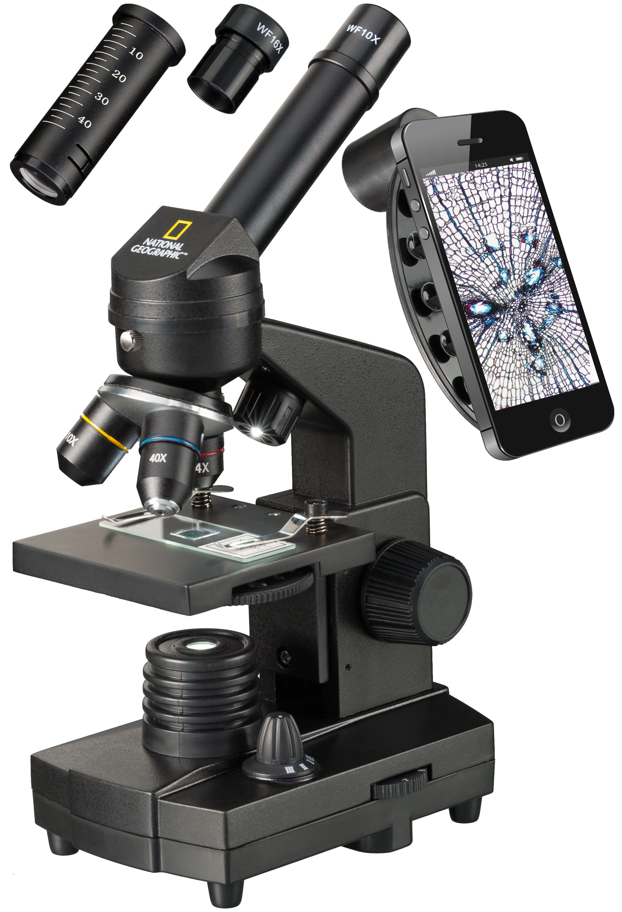   Microscopio per principianti di tutte le età, ideale per la scuola e per hobby  