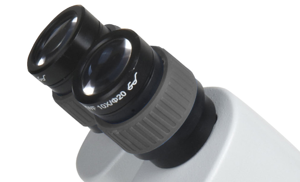  Microscopio stereo 20-40x 