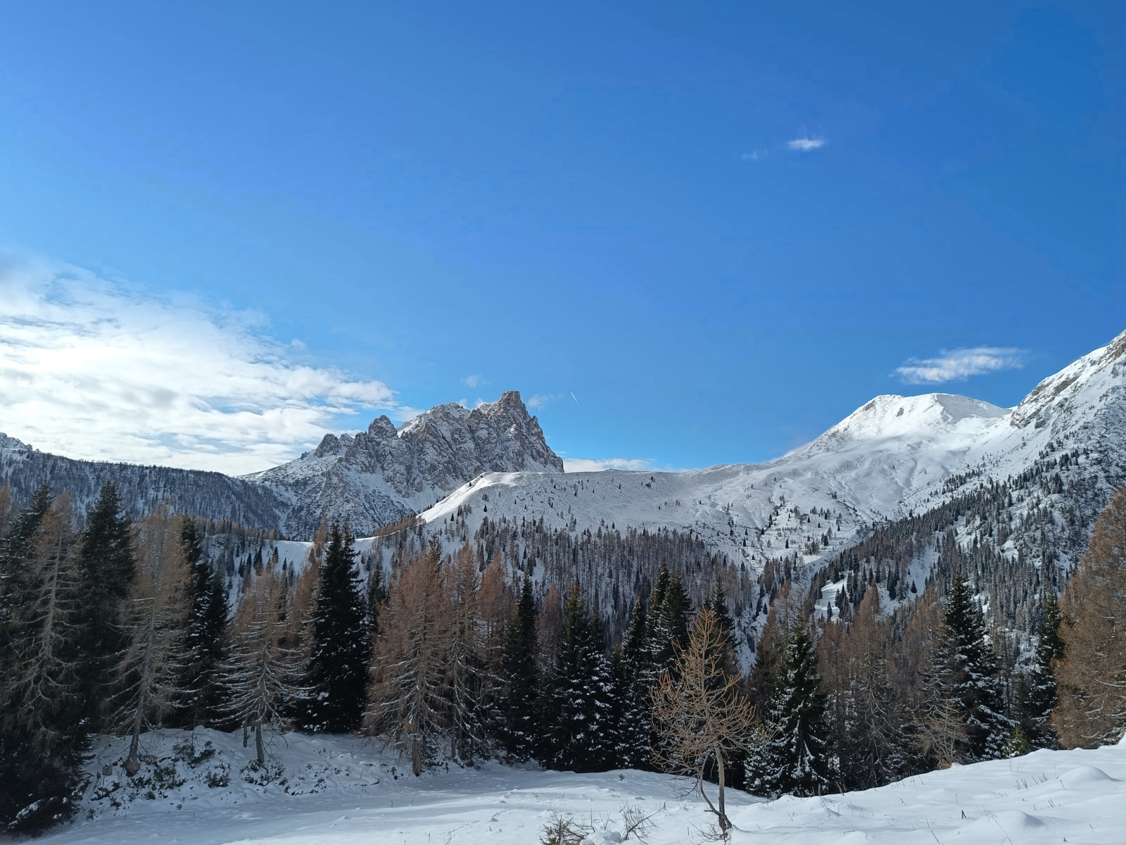 Pacchetto completo di astro-escursionismo con salita alla magica Val Visdende, apericena presso l'Agriturismo Malga Dignas, osservazioni astronomiche supportate da Dwarf 3 e Unistellar Odyssey Pro e passeggiata ambientale notturna.
Pacchetto completo di astro-escursionismo con salita alla magica Val Visdende, apericena presso l'Agriturismo Malga Dignas, osservazioni astronomiche supportate da Dwarf 3 e Unistellar Odyssey Pro e passeggiata ambientale notturna.