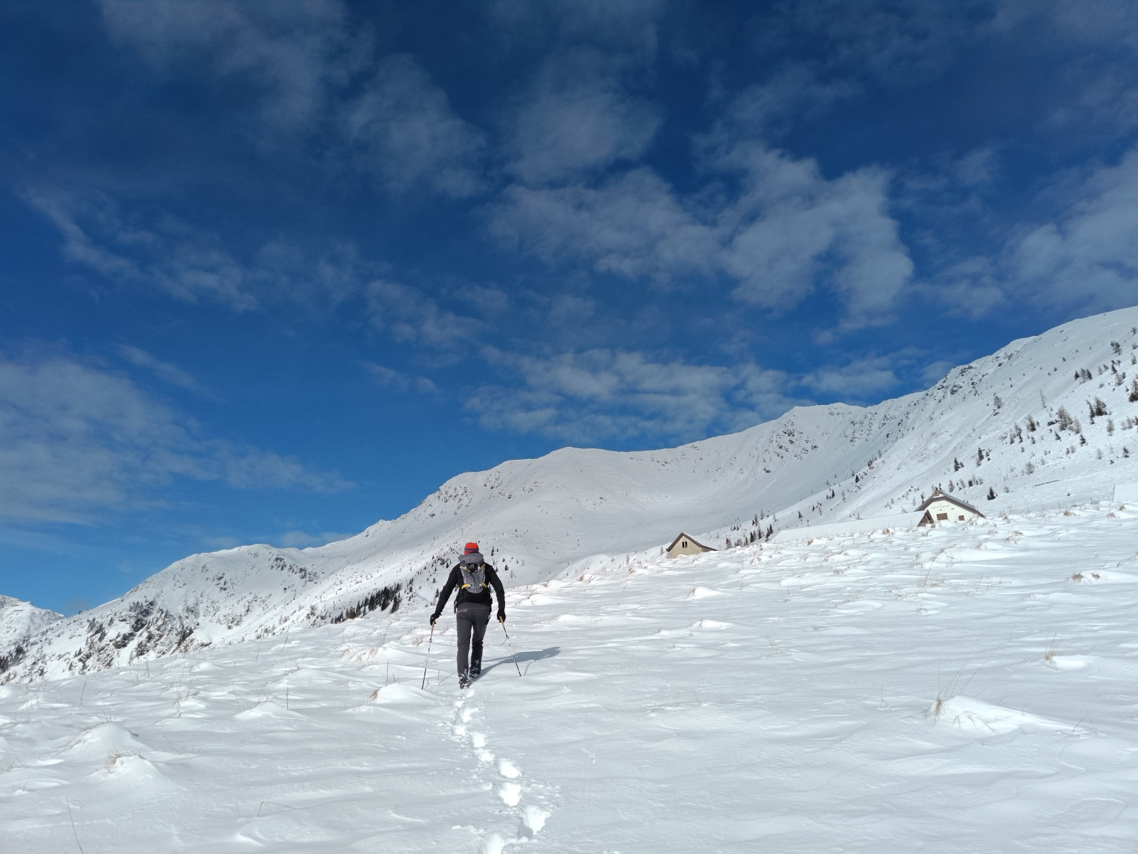 Pacchetto completo di astro-escursionismo con salita alla magica Val Visdende, apericena presso l'Agriturismo Malga Dignas, osservazioni astronomiche supportate da Dwarf 3 e Unistellar Odyssey Pro e passeggiata ambientale notturna.
Pacchetto completo di astro-escursionismo con salita alla magica Val Visdende, apericena presso l'Agriturismo Malga Dignas, osservazioni astronomiche supportate da Dwarf 3 e Unistellar Odyssey Pro e passeggiata ambientale notturna.