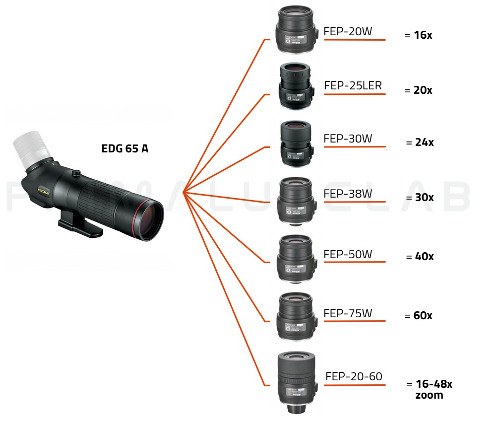  Nikon Spotting scope EDG 65-A (corpo angolato) 