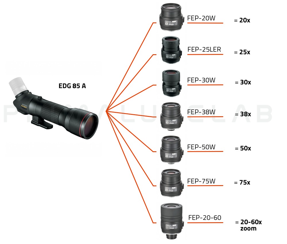  Nikon Spotting scope EDG 85-A (corpo angolato) 