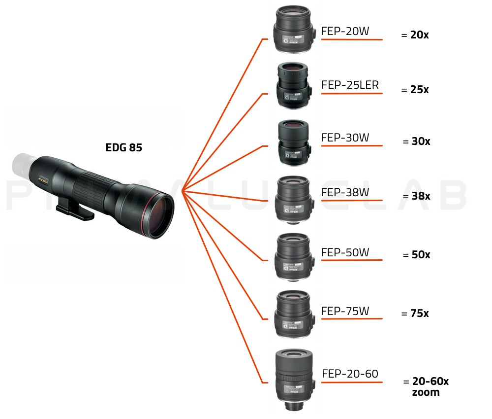 Nikon Spotting scope EDG 85 (corpo dritto) 