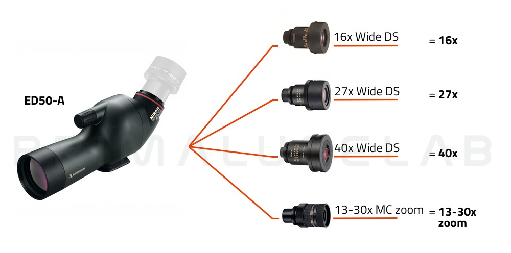  Nikon Spotting scope ED 50-A (corpo angolato) 