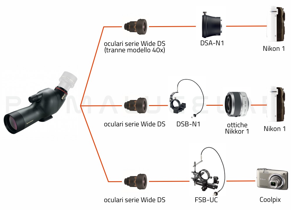  Nikon Spotting scope ED 50-A (corpo angolato) 