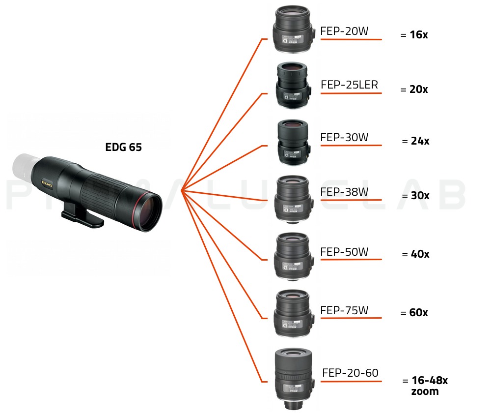  Nikon Spotting scope EDG 65 (corpo dritto) 