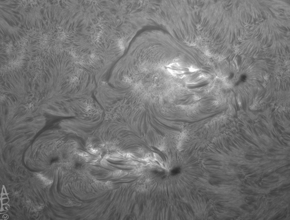  Telescopio solare Lunt 50THA/B600PT telescopio H-alfa da 50 millimetri, con filtro B600 e sistema Pressure Tuned 