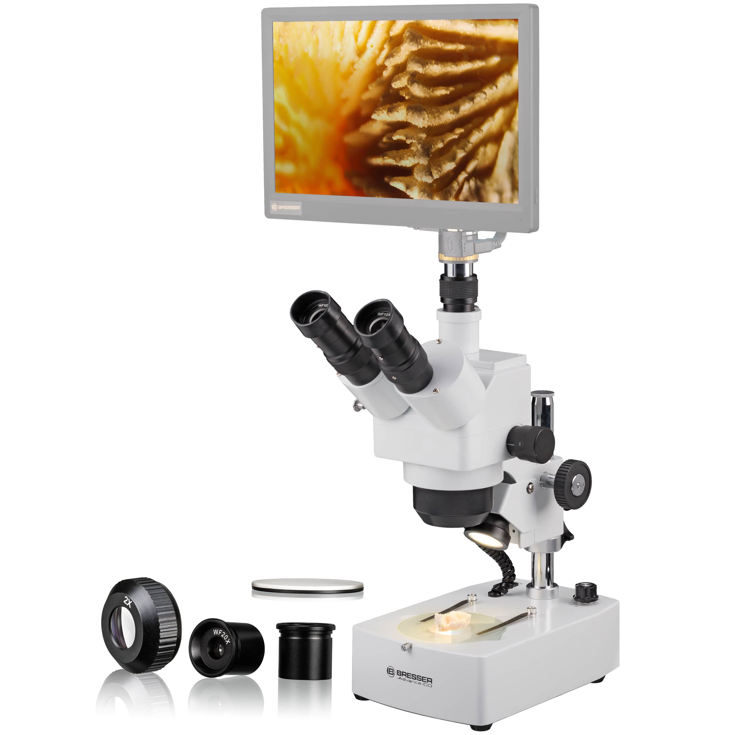   Stereomicroscopio di alta qualità per hobby e applicazioni professionali  