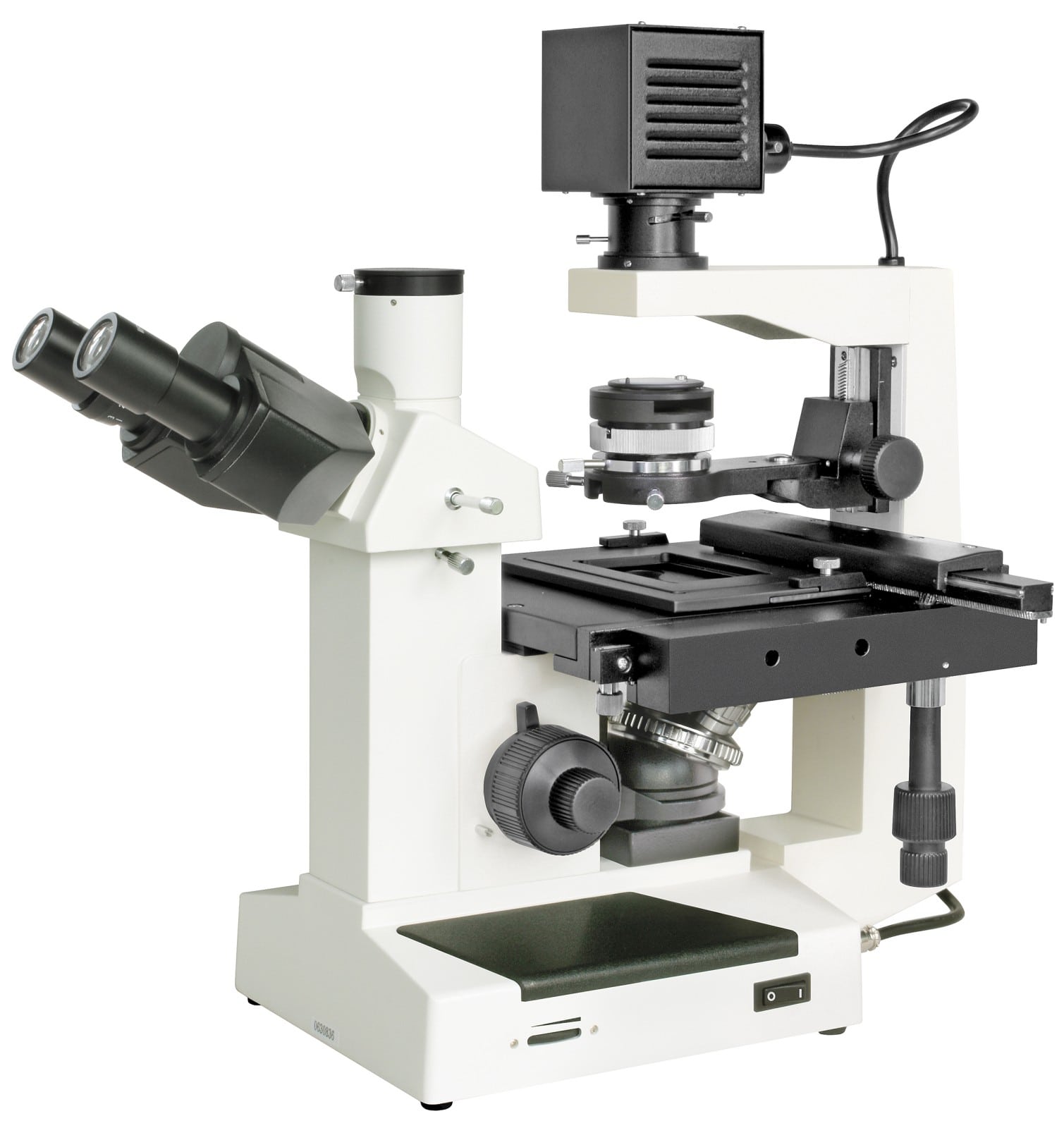   Microscopio professionale di alta qualità per osservare plancton o colture cellulari  