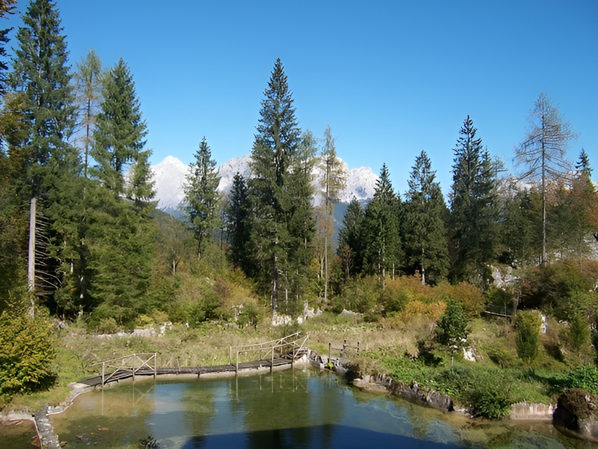 Pacchetto completo di astro-escursionismo con escursione al Rifugio Scarpa, apericena, osservazioni astronomiche notturne e solari supportate da Dwarf 3 e Unistellar Odyssey Pro e passeggiata ambientale notturna. Pacchetto completo di astro-escursionismo con escursione al Rifugio Scarpa, apericena, osservazioni astronomiche notturne e solari supportate da Dwarf 3 e Unistellar Odyssey Pro e passeggiata ambientale notturna.