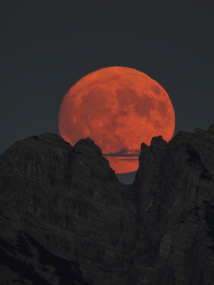 Un pacchetto di astro-escursionismo   DA PAURA!!!   Salita al Pian dei Buoi, apericena presso il Rifugio Ciareido, osservazioni astronomiche supportate da Dwarf 3 e Unistellar Odyssey Pro e passeggiata notturna tra miti e leggende ancestrali.
  Un pacchetto di astro-escursionismo   DA PAURA!!!   Salita al Pian dei Buoi, apericena presso il Rifugio Ciareido, osservazioni astronomiche supportate da Dwarf 3 e Unistellar Odyssey Pro e passeggiata notturna tra miti e leggende ancestrali.