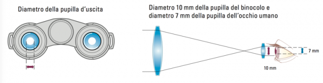  Binocolo Nikon Action EX 7X50 CF 