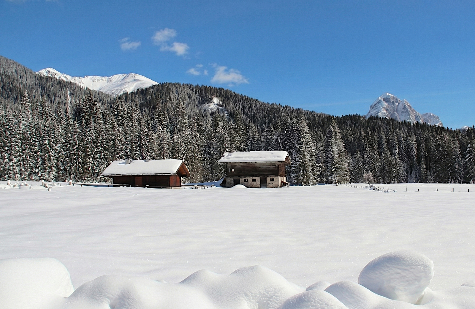 Pacchetto completo di astro-escursionismo con salita alla magica Val Visdende, apericena presso l'Agriturismo Malga Dignas, osservazioni astronomiche supportate da Dwarf 3 e Unistellar Odyssey Pro e passeggiata ambientale notturna.
Pacchetto completo di astro-escursionismo con salita alla magica Val Visdende, apericena presso l'Agriturismo Malga Dignas, osservazioni astronomiche supportate da Dwarf 3 e Unistellar Odyssey Pro e passeggiata ambientale notturna.