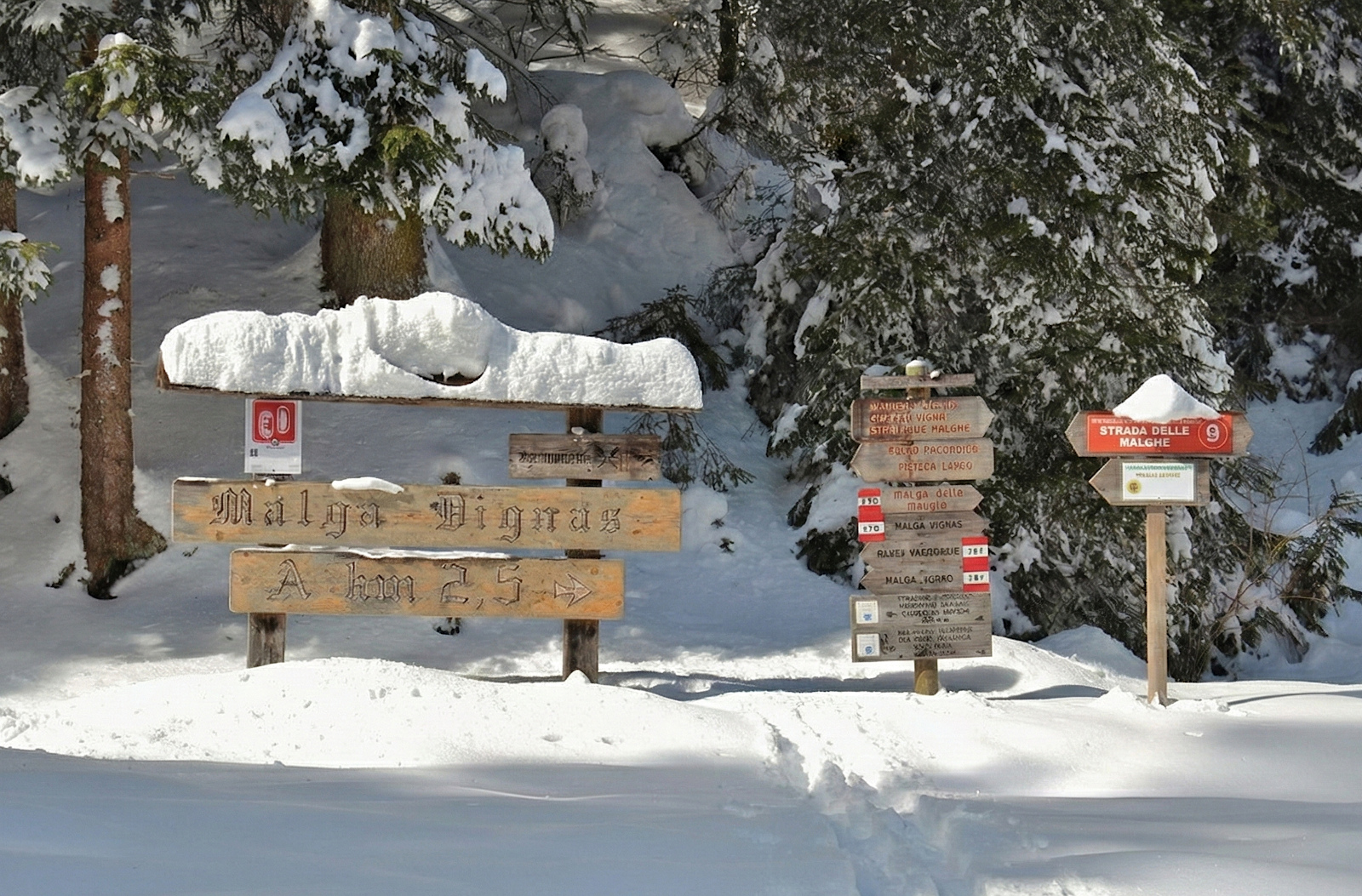 Pacchetto completo di astro-escursionismo con salita alla magica Val Visdende, apericena presso l'Agriturismo Malga Dignas, osservazioni astronomiche supportate da Dwarf 3 e Unistellar Odyssey Pro e passeggiata ambientale notturna.
Pacchetto completo di astro-escursionismo con salita alla magica Val Visdende, apericena presso l'Agriturismo Malga Dignas, osservazioni astronomiche supportate da Dwarf 3 e Unistellar Odyssey Pro e passeggiata ambientale notturna.